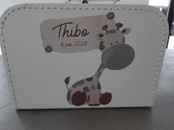 Geboortekoffertje Thibo